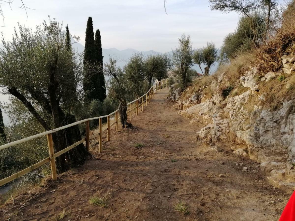 Villa Agriturismo Le Anze Torri Del Benaco Exterior foto